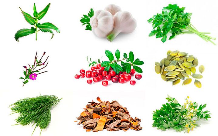 народни средства за лечение на простатит